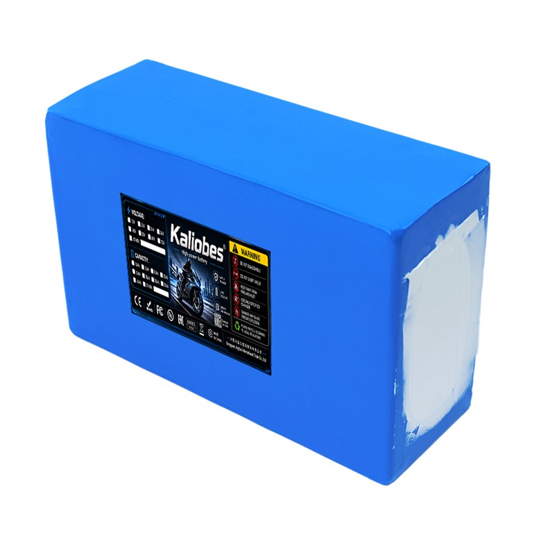 Bloc de batteries au lithium 2 - 60V 30Ah 21700 Battery Pack avis et prix